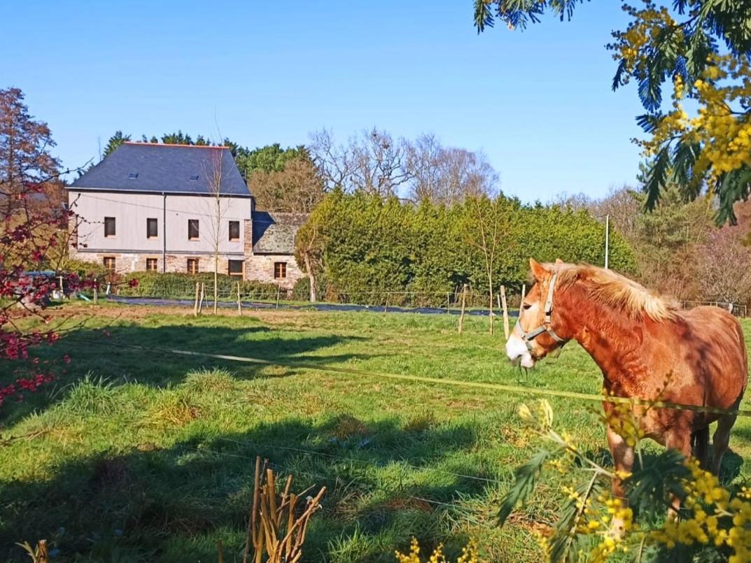 Chambre D'Hote En Gite - Moulin De La Houssaie - Broceliande Guer Zewnętrze zdjęcie