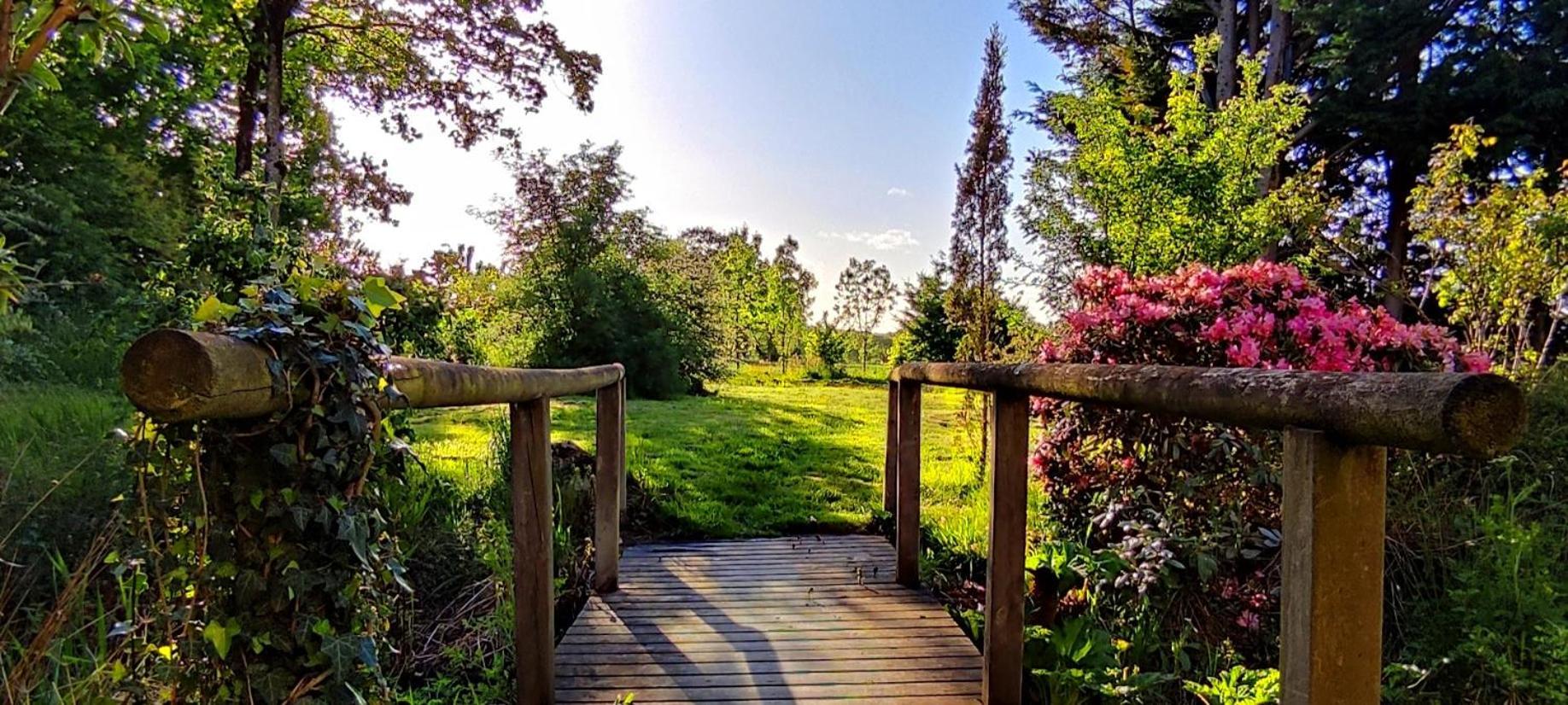 Chambre D'Hote En Gite - Moulin De La Houssaie - Broceliande Guer Zewnętrze zdjęcie