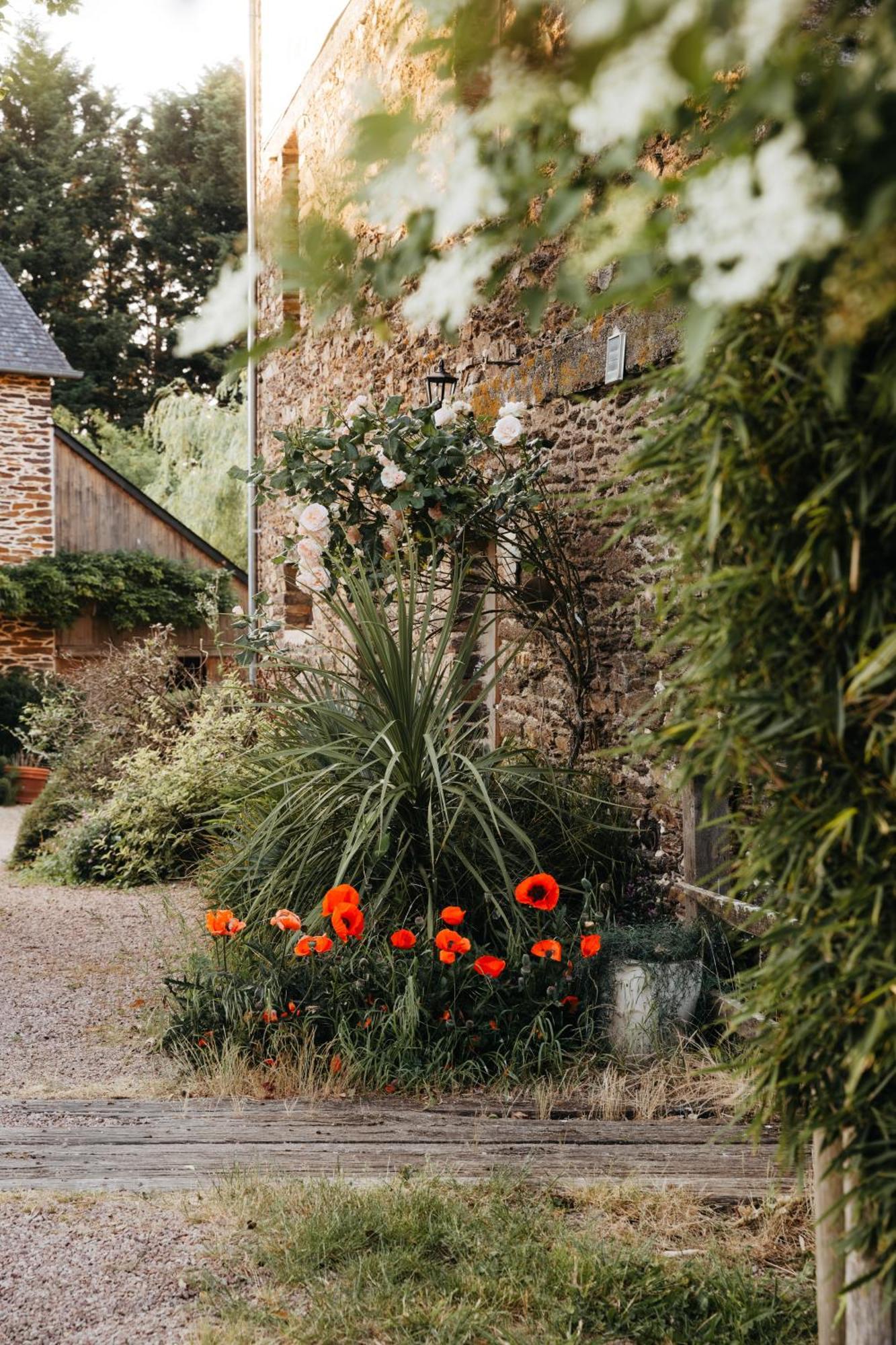 Chambre D'Hote En Gite - Moulin De La Houssaie - Broceliande Guer Zewnętrze zdjęcie