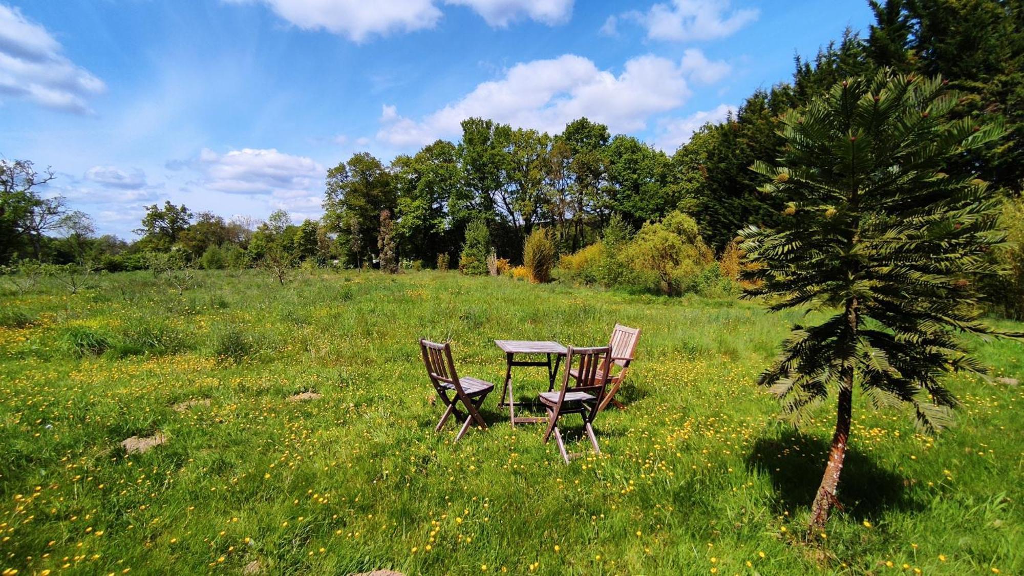 Chambre D'Hote En Gite - Moulin De La Houssaie - Broceliande Guer Zewnętrze zdjęcie