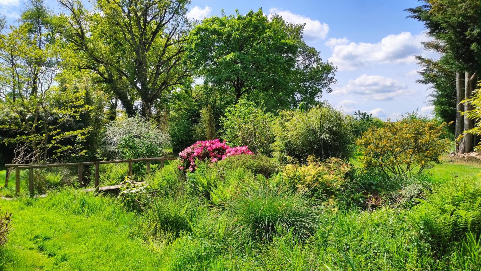 Chambre D'Hote En Gite - Moulin De La Houssaie - Broceliande Guer Zewnętrze zdjęcie